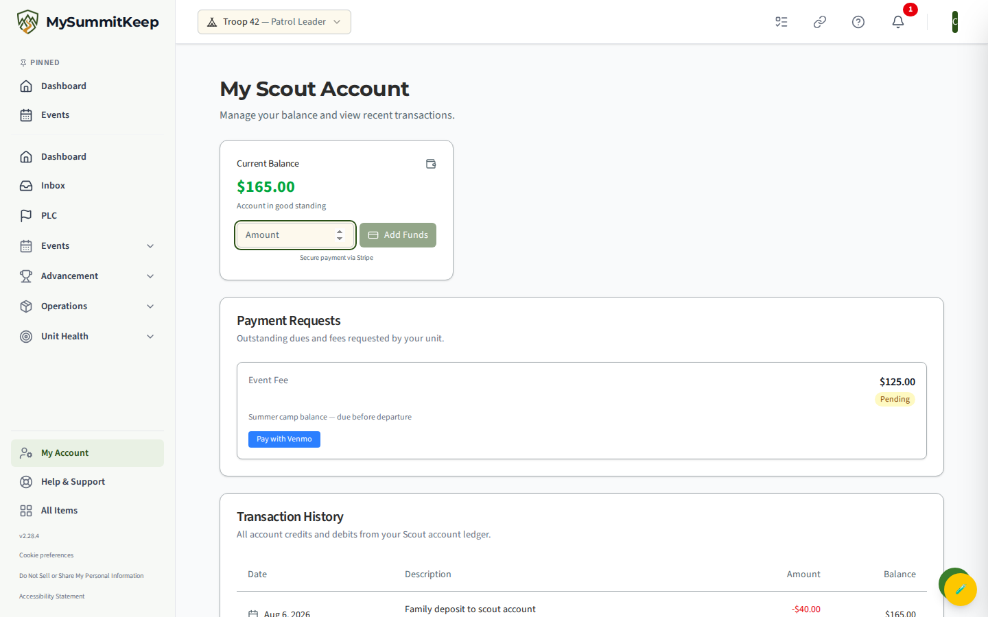 The Current Balance card 'Amount' input field next to the 'Add Funds' button with the 'Secure payment via Stripe' note on /my-account.