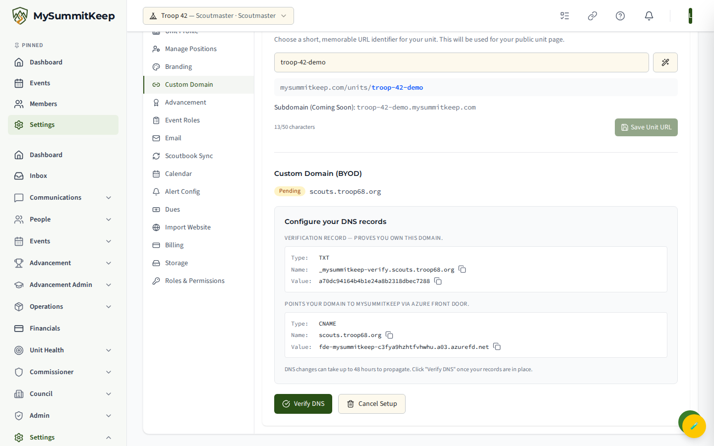 Custom domain settings showing the DNS/CNAME records to add and the verification status.